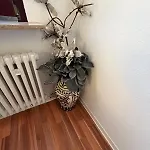 Apartamento Stylish 4-5 Flat Above Esslingen Old Town Esslingen am Neckar