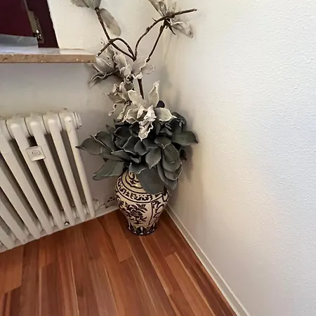 Lejlighed Stylish 4-5 Flat Above Esslingen Old Town Esslingen am Neckar